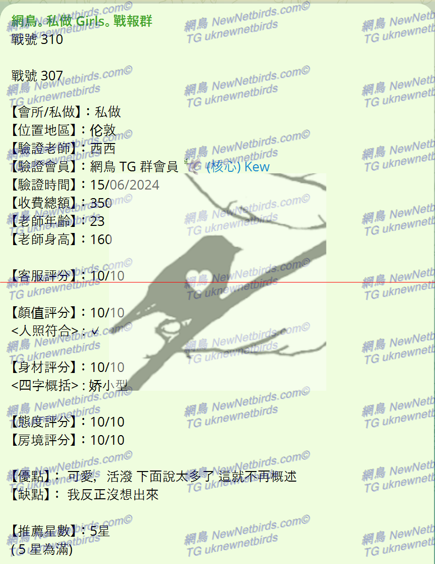 戰號 310 1.png
